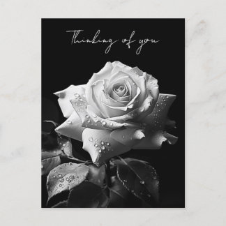 Carte Postale Rose blanche à longue tige photo B&W