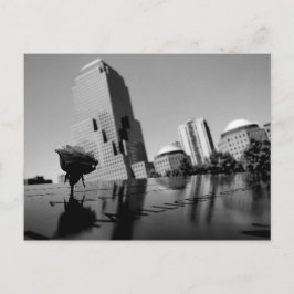 Carte Postale Rose blanche du souvenir