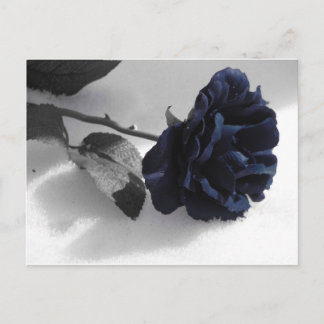 Carte Postale Rose bleu