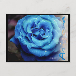 Carte Postale Rose bleu