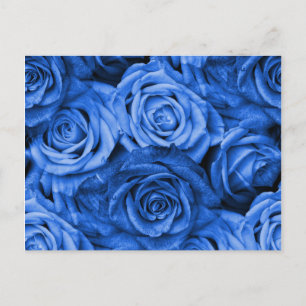 Carte Postale Rose bleu