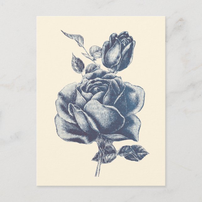 Carte Postale Rose Bleue Élégante Vintage  (Devant)
