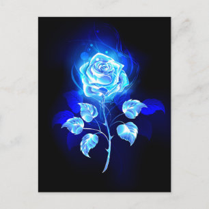 Carte Postale Rose bleue en feu
