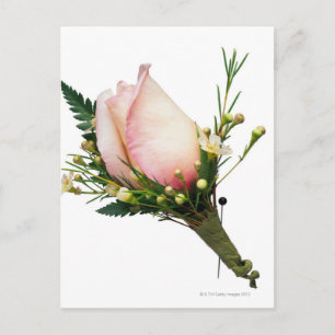 Carte Postale Rose Boutonniere