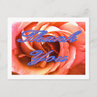 Rose Canterbury 4 Merci 1 Le MUSÉE Zazzle Gi