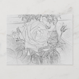 Carte Postale Rose Coloring Sheet Postcard