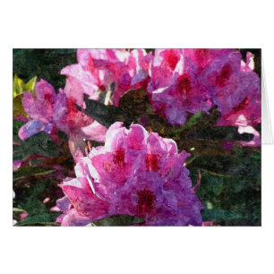 Carte postale rose de pivoines