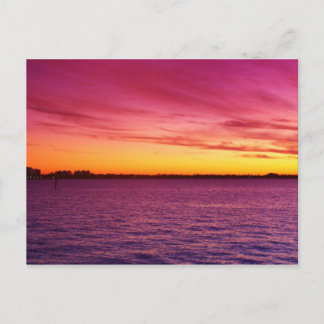 Carte Postale Rose Delite