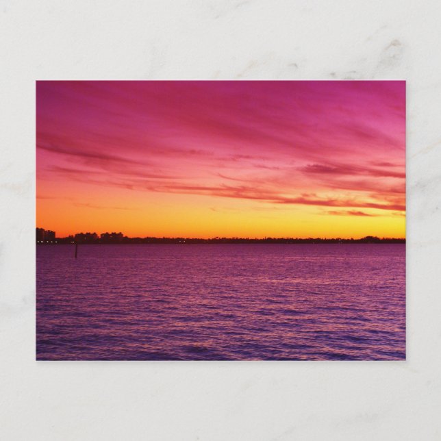 Carte Postale Rose Delite (Devant)