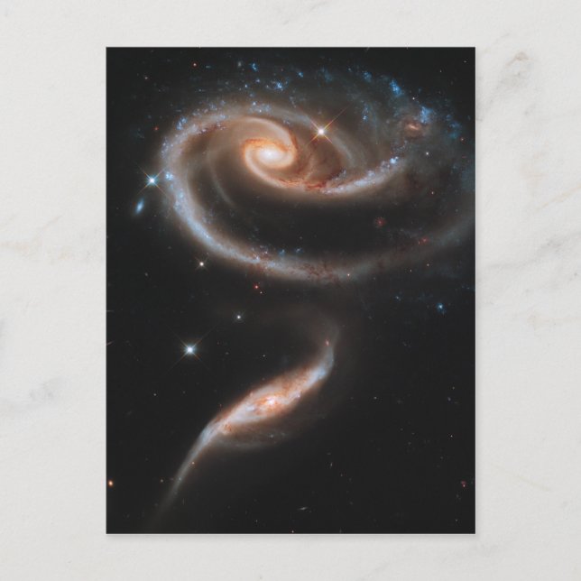 Carte Postale Rose des Galaxies (Devant)