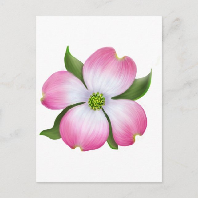 Carte postale rose Dogwood (Devant)