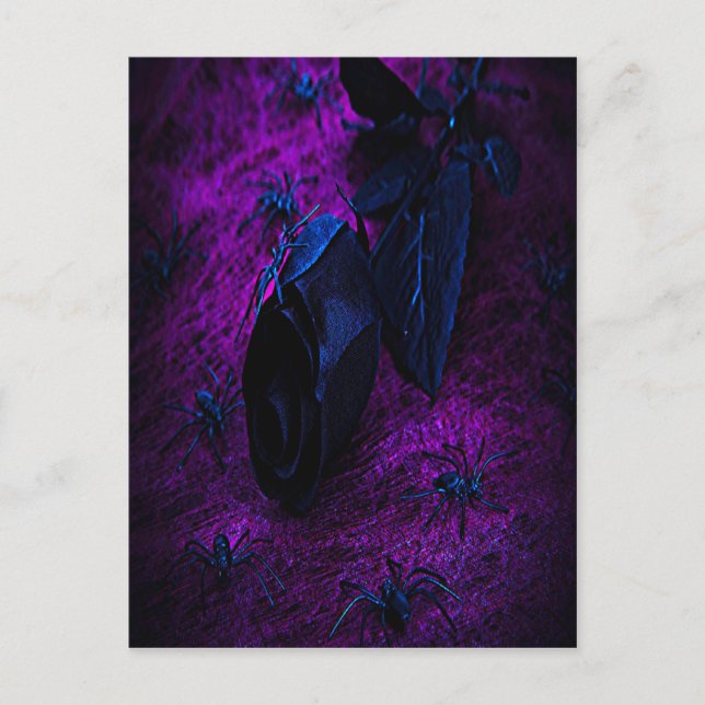 Carte Postale Rose éffrayant en matière noire, araignées noires (Devant)