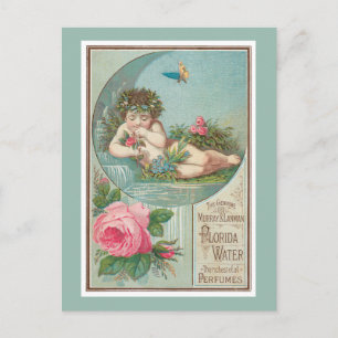 Carte Postale Rose et Cherub Florida Waters