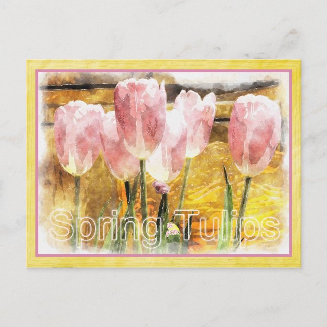 Carte Postale Rose et Jaune - Le printemps est pour les tulipes (Devant)