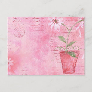 Carte postale rose, Fleur