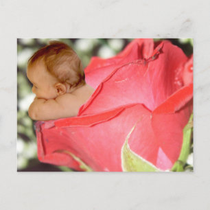 Carte postale rose Flower Baby