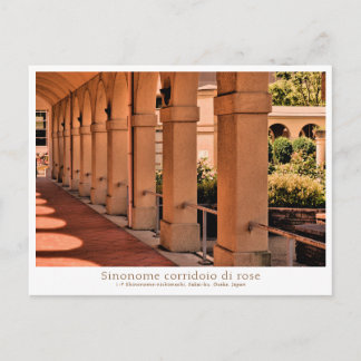 Carte Postale Rose Garden Scenery