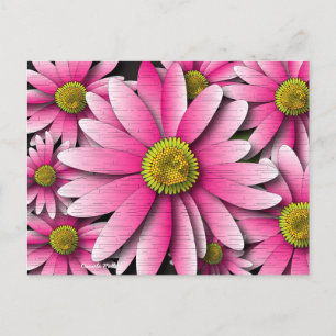 Carte postale rose Gerbera Daisy