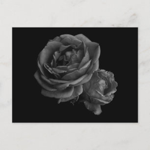 Carte Postale Rose gothique noir