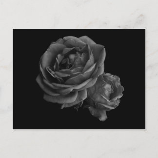 Carte Postale Rose gothique noir