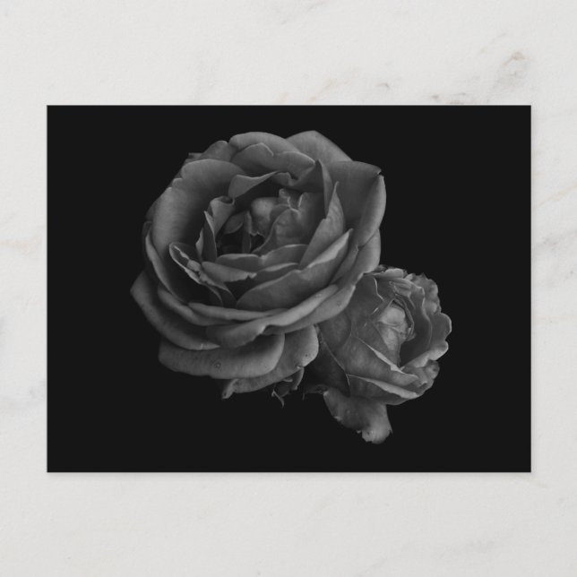 Carte Postale Rose gothique noir (Devant)