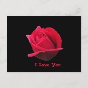 Carte postale Rose I Love You