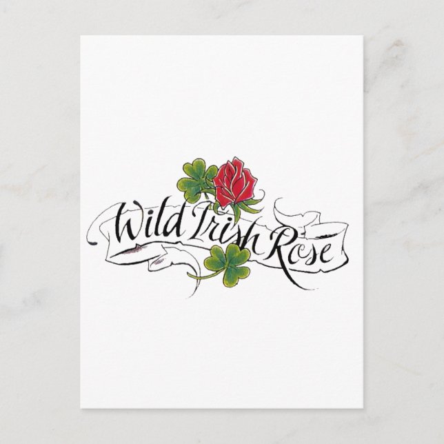 Carte Postale Rose irlandais sauvage (Devant)