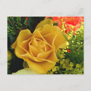 Carte Postale Rose jaune  