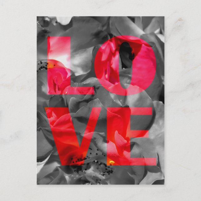 Carte postale Rose Love (Devant)