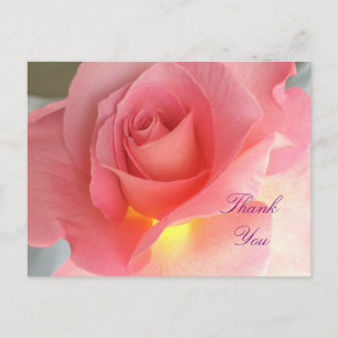 Carte Postale Rose Merci