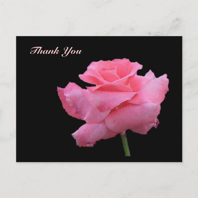 Carte postale Rose Merci (Devant)