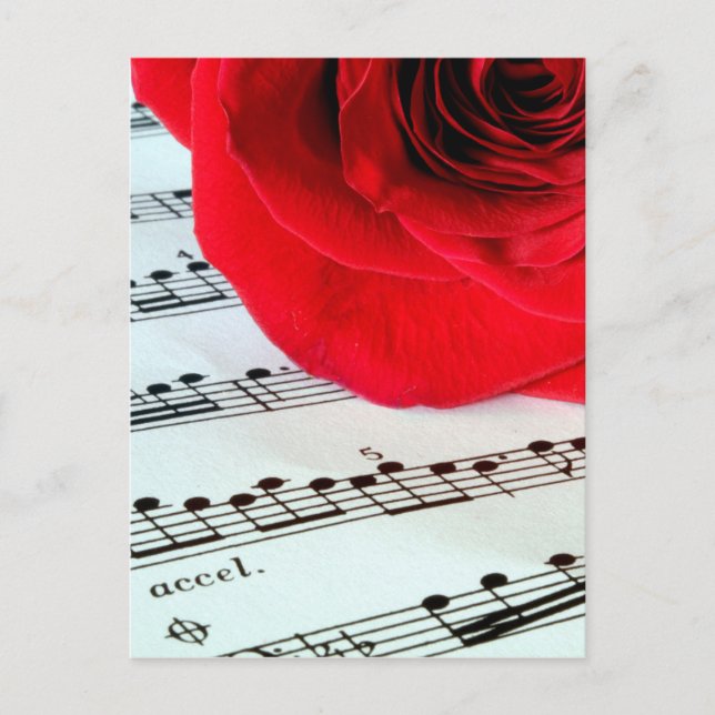 Carte Postale Rose & Musique - Amoureux de la musique (Devant)