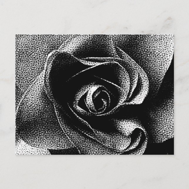 CARTE POSTALE ROSE NOIR (Devant)
