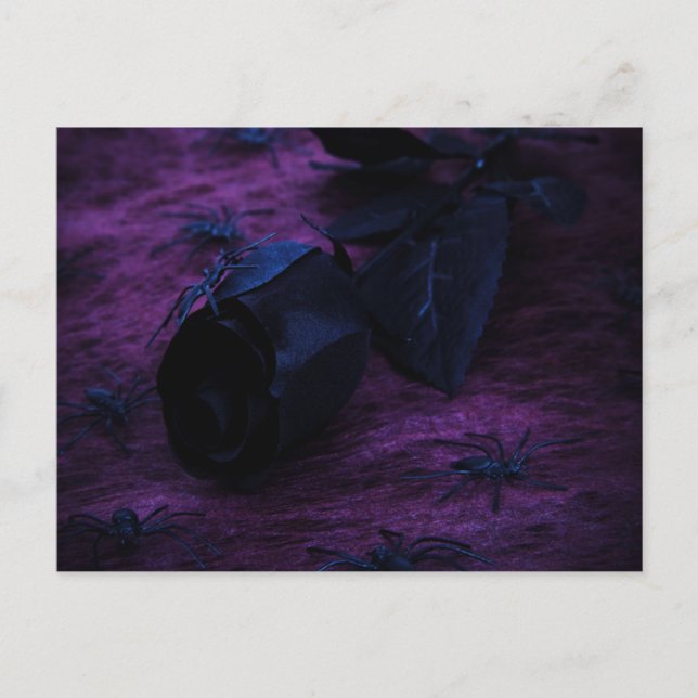 Carte postale Rose noir (Devant)