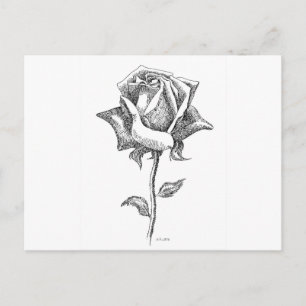 Carte Postale Rose noire et blanche