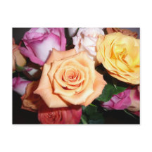 Rose orange