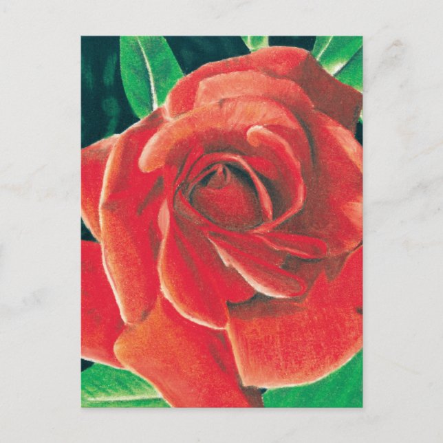 Carte postale rose par Jacob Grimm (Devant)