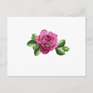 Carte Postale Rose pourpre bulgare