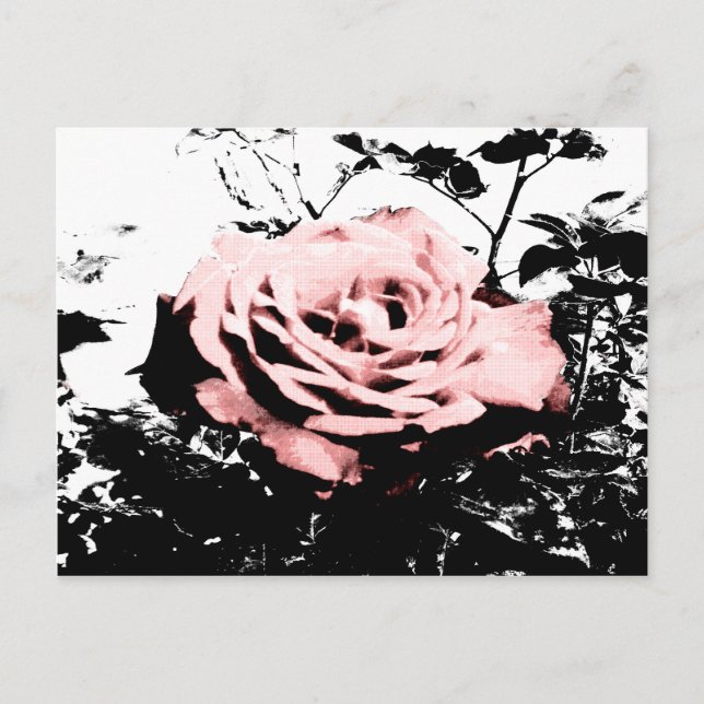 Carte Postale Rose rétro (Devant)