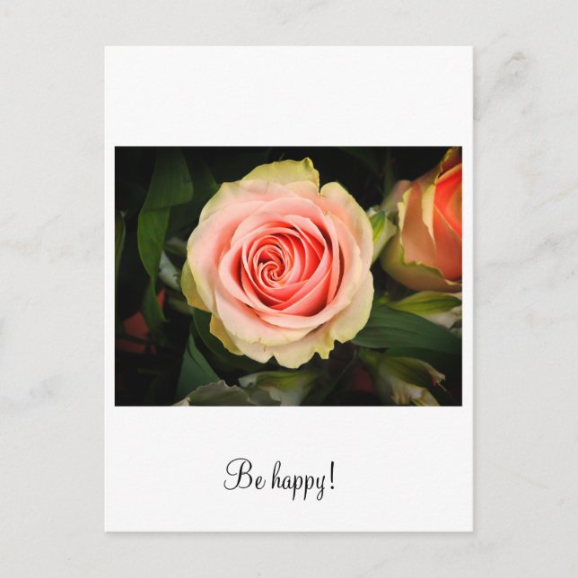 Carte Postale Rose rose (Devant)