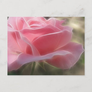 Carte Postale Rose rose 3 angélique