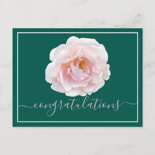 Carte Postale Rose Rose Cyan Arrière - plan Félicitations