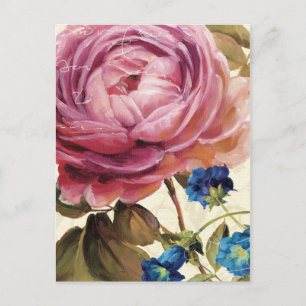 Carte Postale Rose rose en pleine floraison