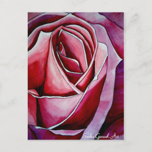 Carte Postale Rose rose macro fleur