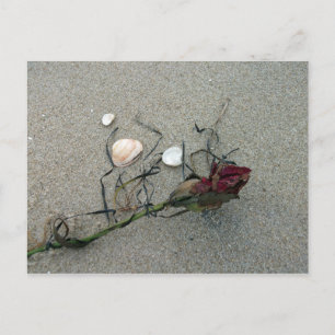 Carte Postale Rose rouge perdue en mer