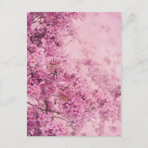 Carte Postale Rose sur rose