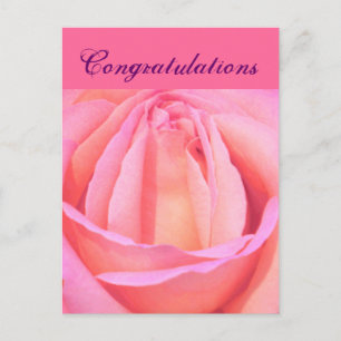 Carte Postale Rose unique_