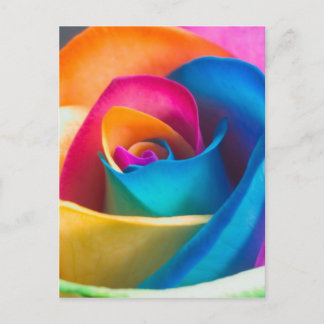 Carte Postale Rose unique Tye Dye