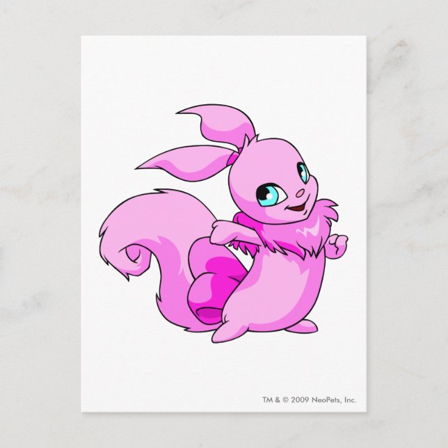 Carte Postale Rose Usul (Devant)