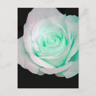 Carte Postale Rose verte et blanche...